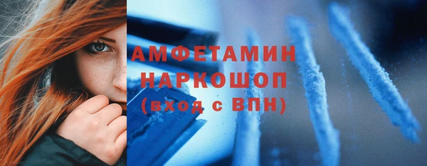 spice Богородск