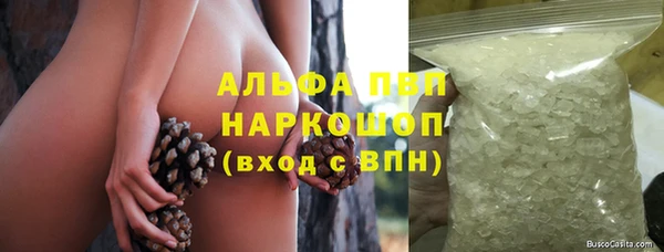 ешки Богданович
