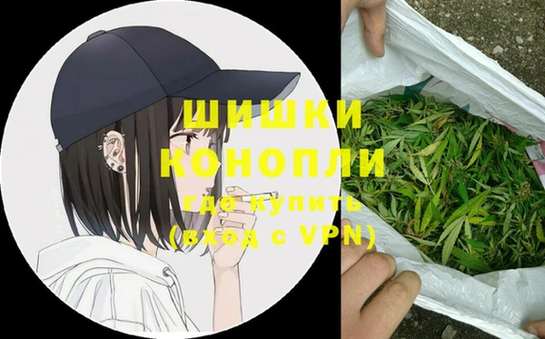 spice Богородск