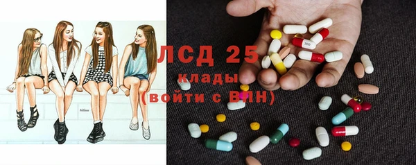 ешки Богданович