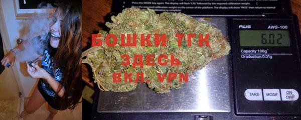 spice Богородск
