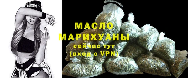 spice Богородск