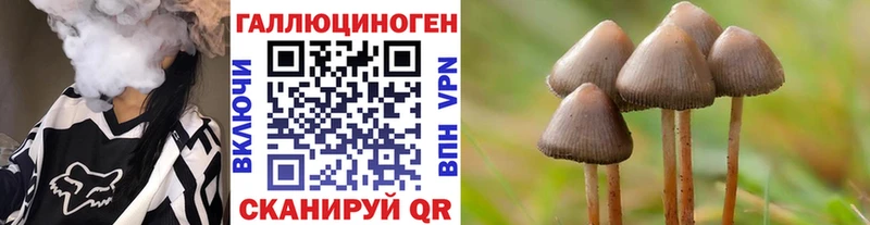 Псилоцибиновые грибы ЛСД Конаково